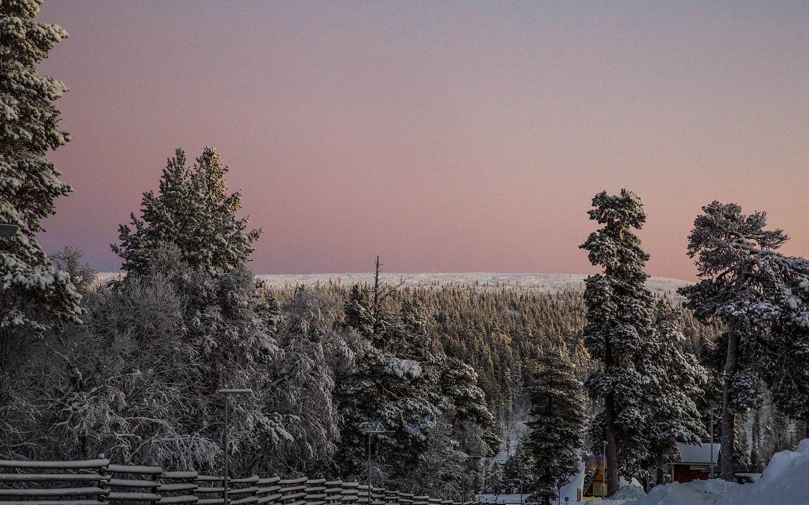 Forêt enneigée à Saariselkä, en Laponie finlandaise